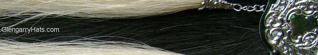 Black Horsehair Sporran with 2 White Tassels + Chrome 